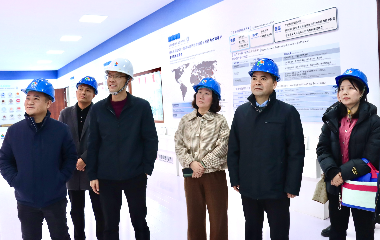 陽(yáng)光電源股份、宜賓智能制造行業(yè)協(xié)會(huì)、宜賓安徽商會(huì)調(diào)研遠(yuǎn)東電纜（宜賓）